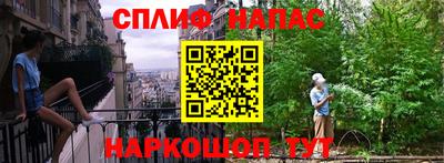 сатива Новокубанск