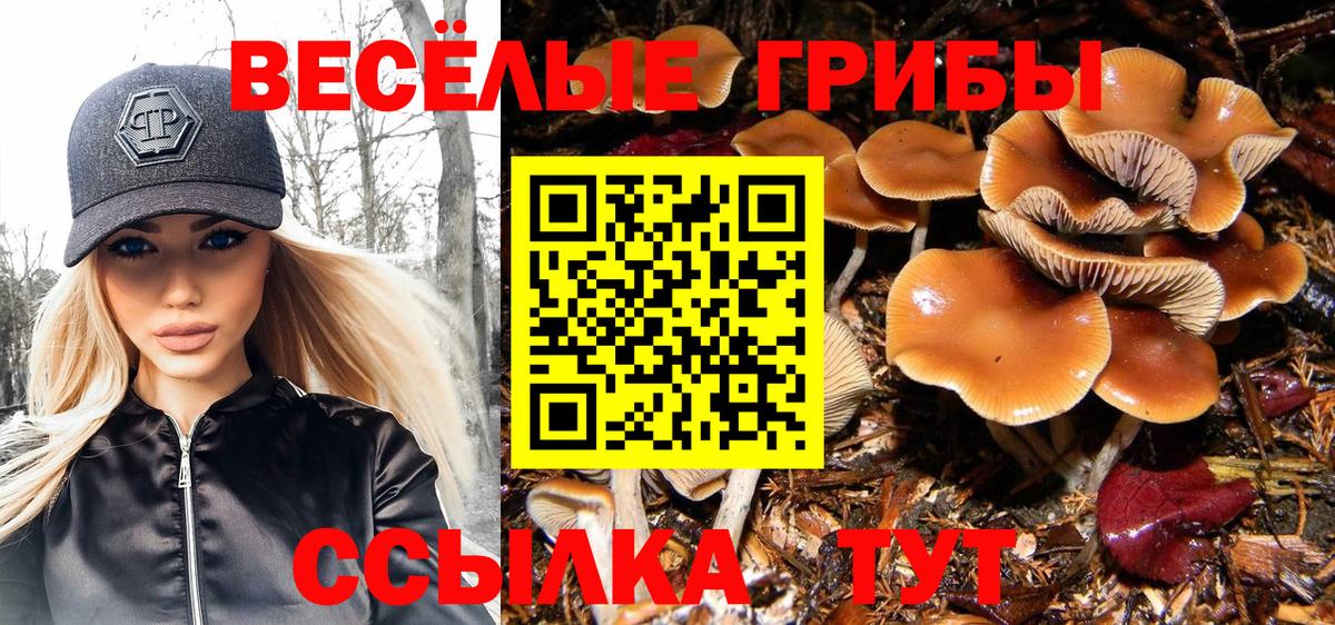 Псилоцибиновые грибы Magic Shrooms Родники